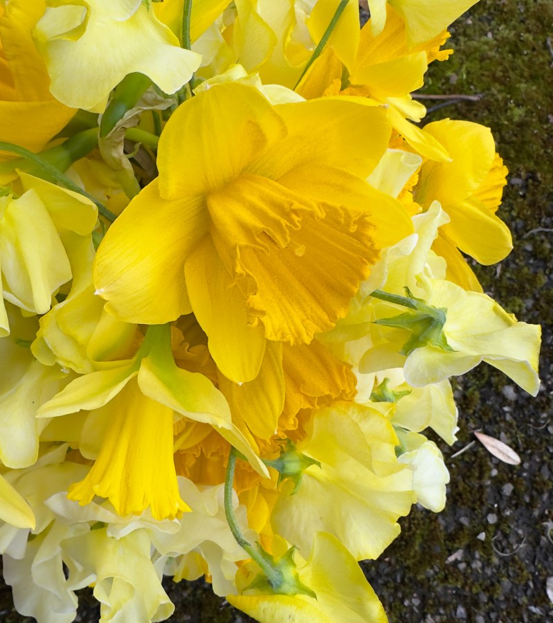 Blumengalerie-Shop-Hochzeit-Frühling- Brautstrauss-Hochzeitspacket.jpg (2)